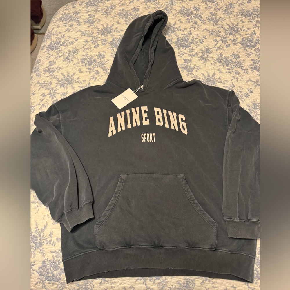 Anine Bing Sport Hoodie